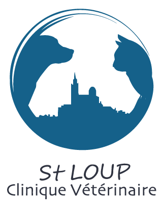 Clinique Vétérinaire Saint Loup Logo